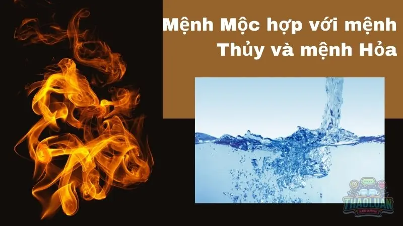 Mệnh Mộc hợp với mệnh Thủy và mệnh Hỏa Mệnh Mộc hợp với mệnh Thủy và mệnh Hỏa