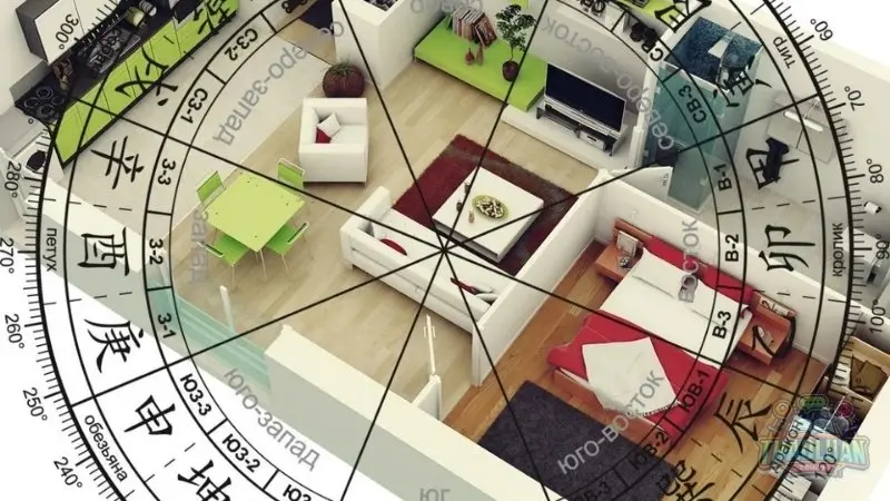 Ứng dụng phong thủy cho người mệnh Mộc Ứng dụng phong thủy cho người mệnh Mộc