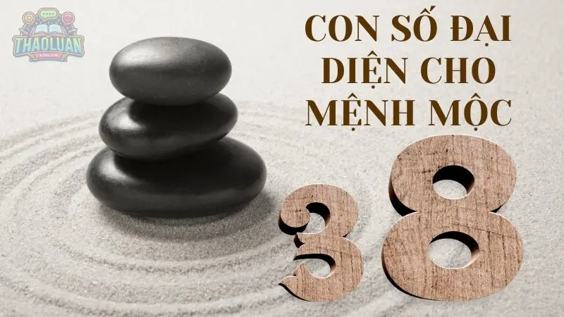 Con số đại diện cho Mộc: 3, 8 Con số đại diện cho Mộc: 3, 8