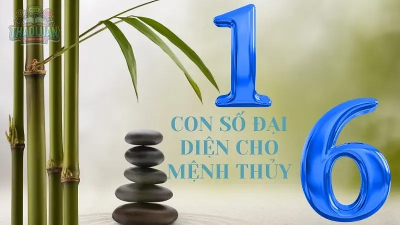 Con số đại diện cho Thủy: 1, 6 Con số đại diện cho Thủy: 1, 6