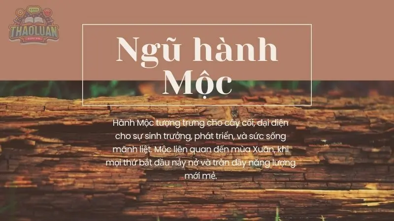 Ngũ hành Mộc Ngũ hành Mộc
