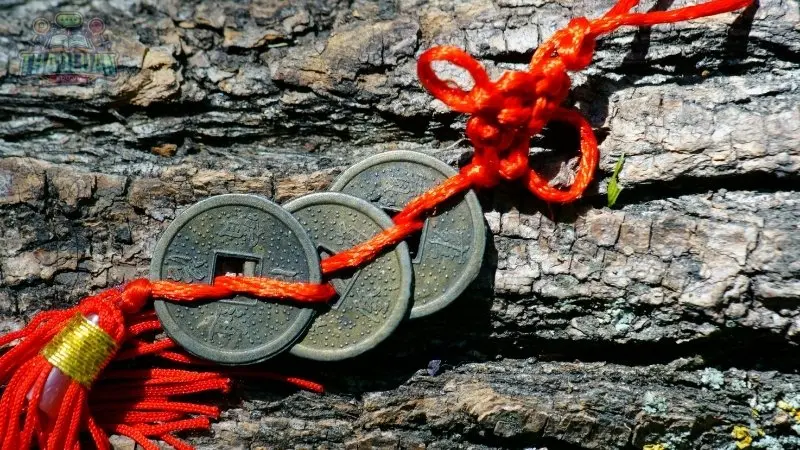 Mệnh Kim Mệnh Kim