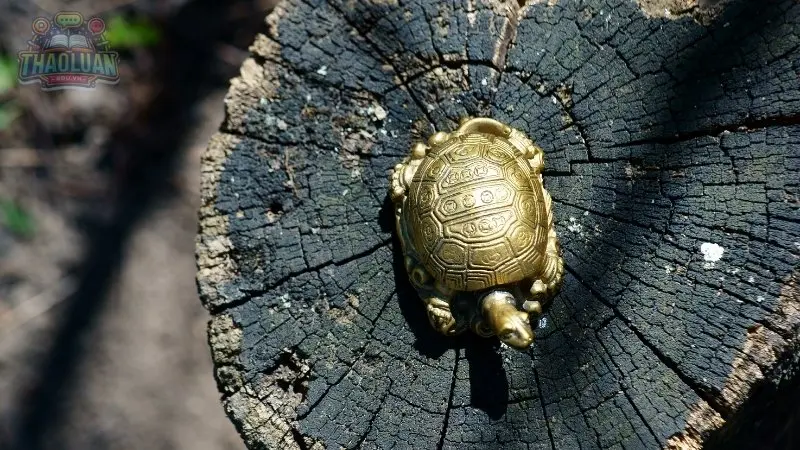 Làm thế nào để xác định con số hợp ngũ hành của bạn? Làm thế nào để xác định con số hợp ngũ hành của bạn?