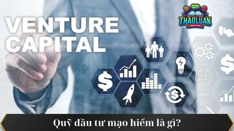 quy-dau-tu-mao-hiem-la-gì-1 quy-dau-tu-mao-hiem-la-gì-1