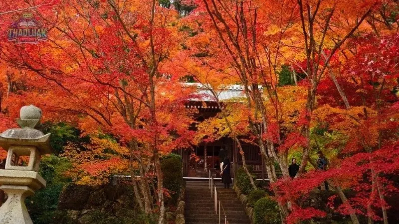 Giới thiệu về tour du lịch Nhật Bản 1