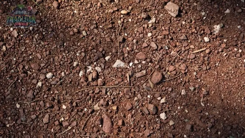 Ngũ hành tương sinh mệnh Thổ Ngũ hành tương sinh mệnh Thổ