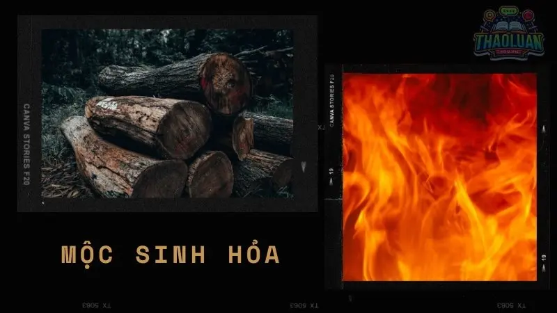 Mộc sinh Hỏa Mộc sinh Hỏa