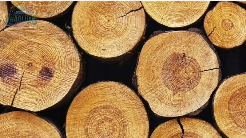 Ngũ hành tương sinh mệnh Mộc Ngũ hành tương sinh mệnh Mộc