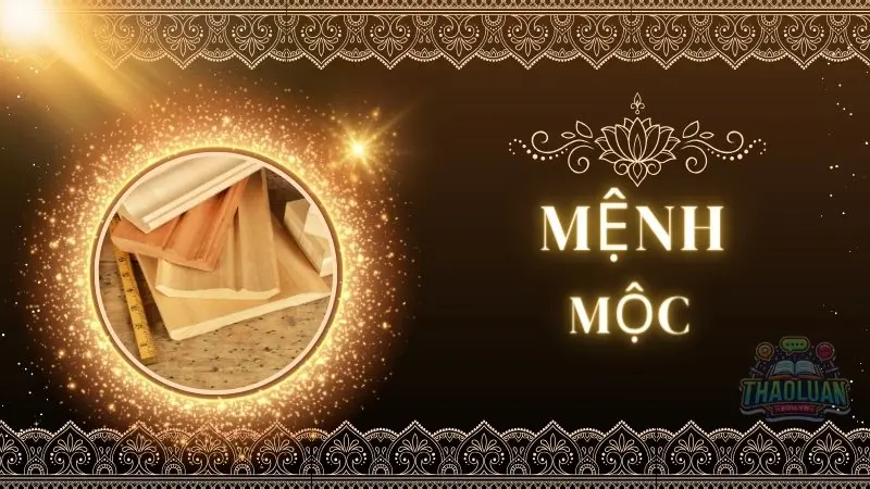 Vật phẩm phong thủy cho mệnh Mộc giúp hóa giải vận hạn 