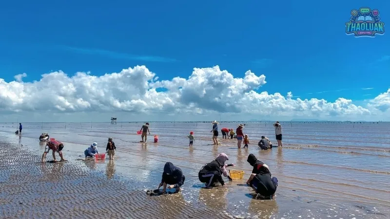 Các điểm tham quan nổi bật tại Cần Giờ