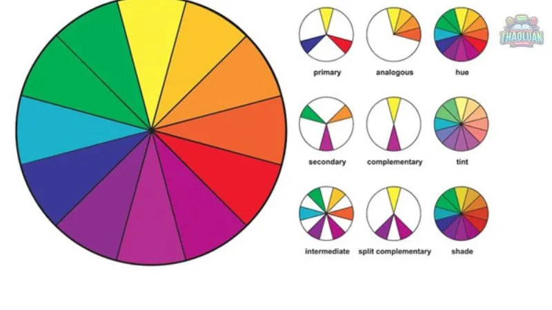 Tìm hiểu về màu sắc và nguyên lý màu sắc cơ bản