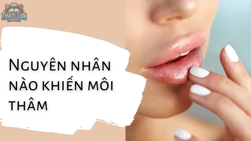 nguyên nhân nào khiến môi thâm nguyên nhân nào khiến môi thâm