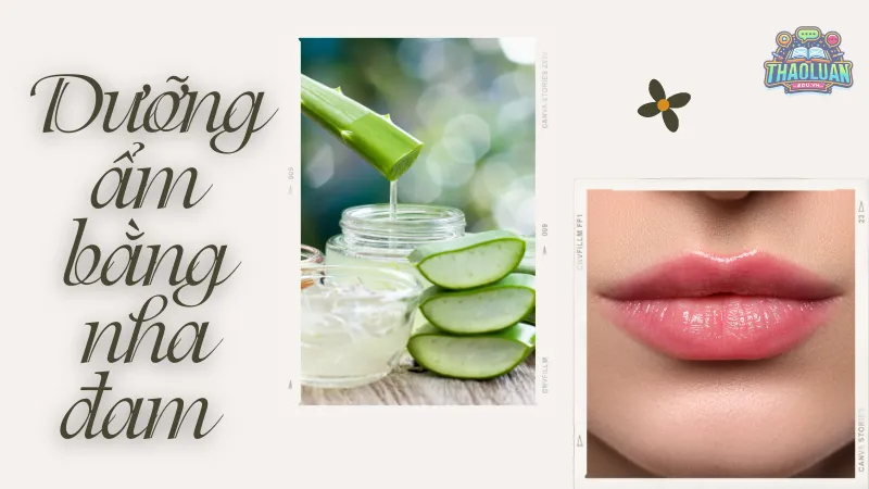 Dưỡng ẩm bằng nha đam Dưỡng ẩm bằng nha đam