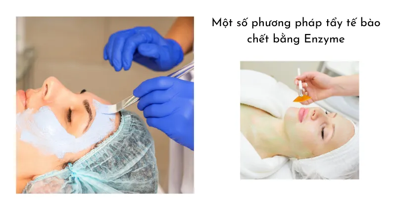 Một số phương pháp tẩy tế bào chết bằng Enzyme Một số phương pháp tẩy tế bào chết bằng Enzyme