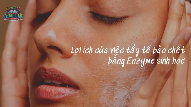 Lợi ích của việc tẩy tế bào chết bằng Enzyme sinh học Lợi ích của việc tẩy tế bào chết bằng Enzyme sinh học