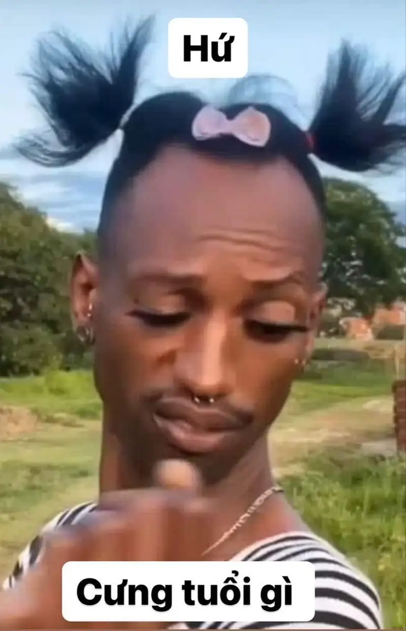 Meme bựa ảnh mèo hài hước tạo nên sự vui nhộn