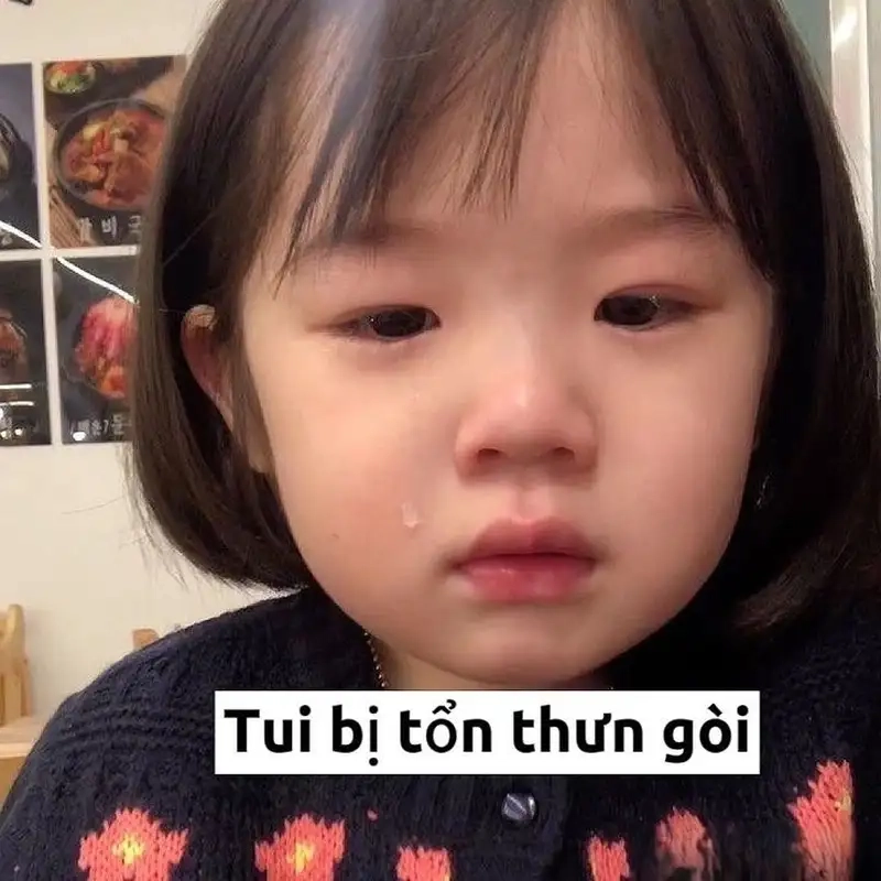 Cute ảnh chế meme mèo bựa luôn làm tan chảy trái tim người xem