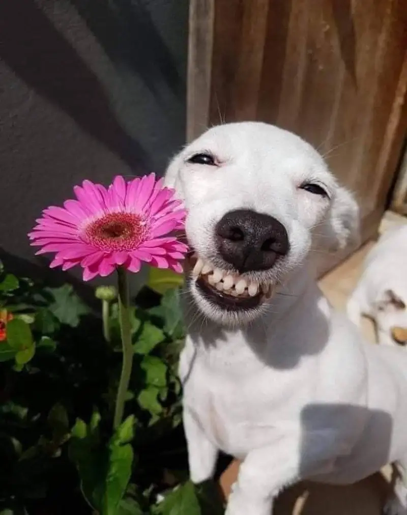 Meme hài bựa người tạo nên sự gần gũi và thân thuộc