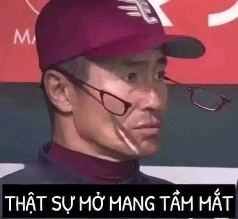 Meme gấu trúc bựa trung quốc luôn gây ấn tượng với sự hài hước