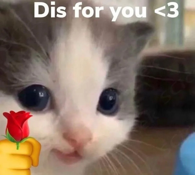 Meme tặng bó hoa tạo nên những khoảnh khắc đáng yêu