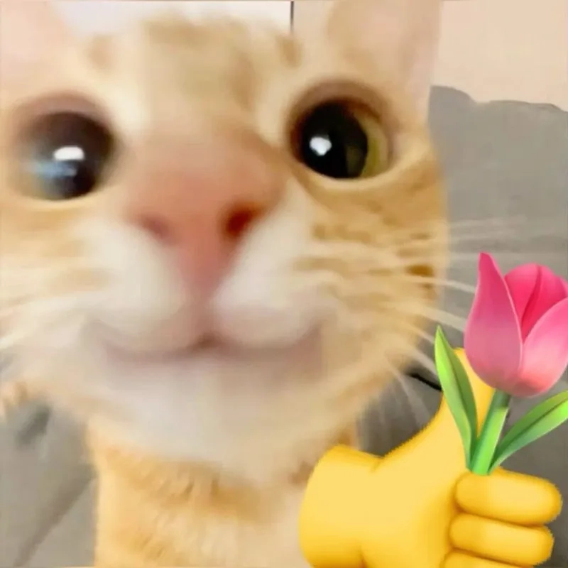 Ảnh tặng hoa meme luôn gây ấn tượng với sự hài hước