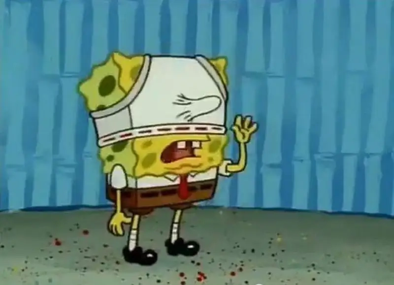 Meme mèo đội quần tạo nên sự hài hước và vui nhộn