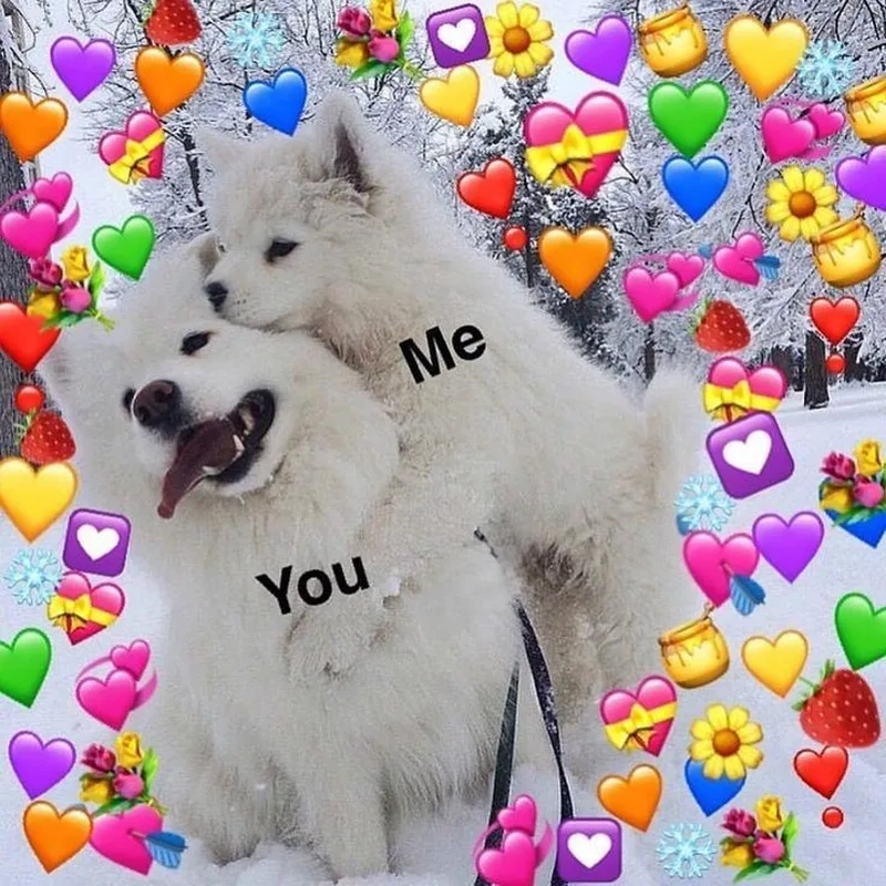 Meme về tình yêu tạo nên những khoảnh khắc đáng yêu