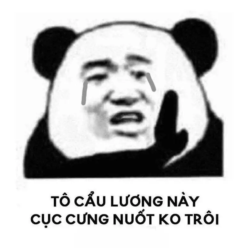 Meme bựa hài luôn gây ấn tượng với sự hài hước