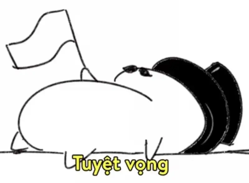 Ảnh meme siêu bựa tạo nên những khoảnh khắc thú vị