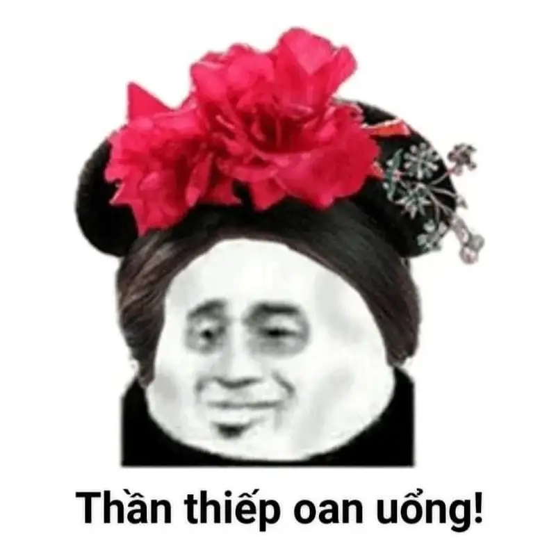 Ảnh meme chó bựa tạo nên sự dễ thương và vui nhộn