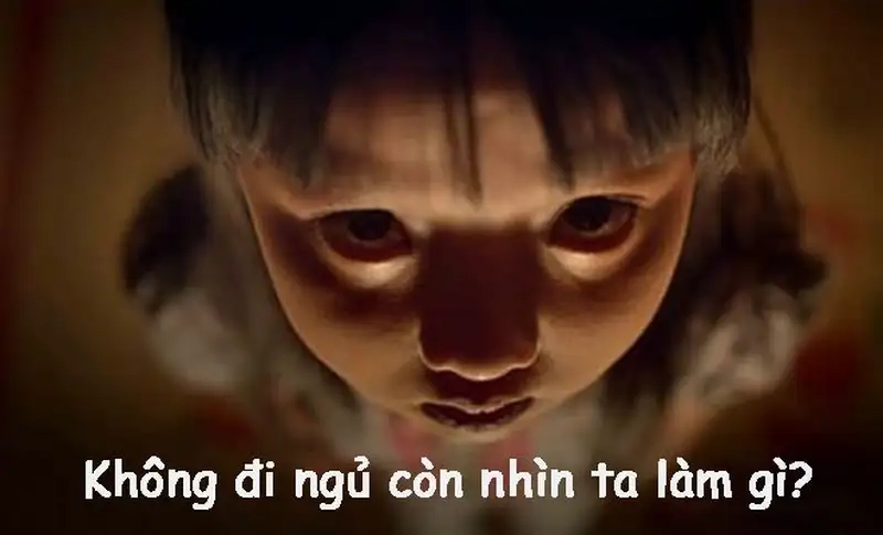 Ngủ ngon meme tạo nên những khoảnh khắc đáng yêu