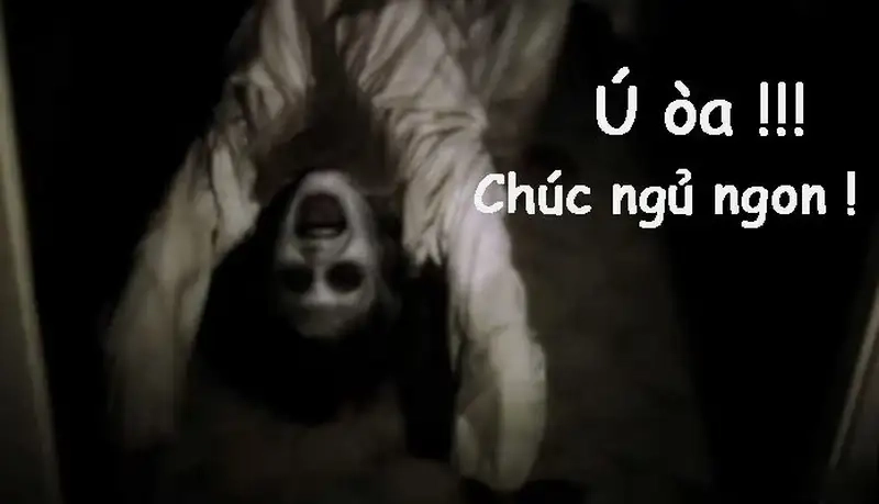 Ngủ meme luôn thu hút sự chú ý với sự hài hước