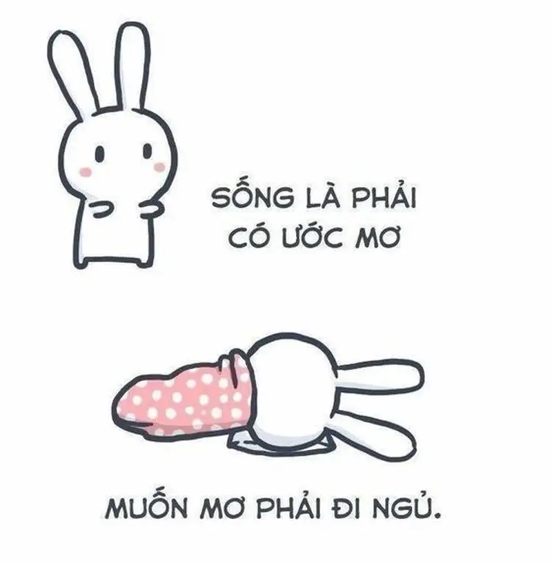 Meme ngủ đi tạo nên những khoảnh khắc thú vị