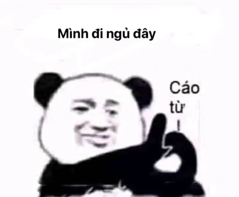 Meme chúc ngủ ngon hài luôn mang đến tiếng cười sảng khoái