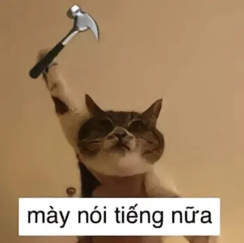 Meme đánh người yêu luôn gây ấn tượng với sự hài hước