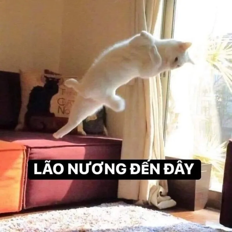 Meme mẹ đánh con thể hiện sự hài hước và gần gũi