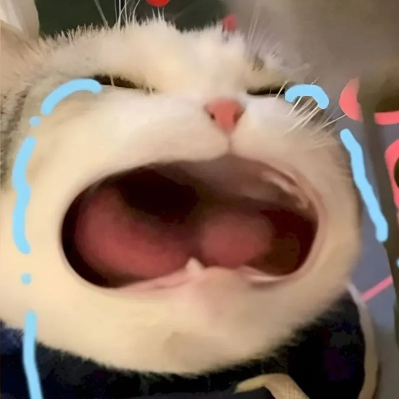 Meme không chữ luôn gây ấn tượng với sự hài hước