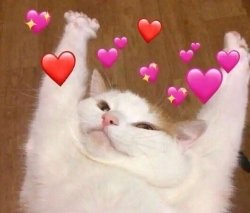 Ảnh trái tim meme tạo nên những khoảnh khắc đáng yêu