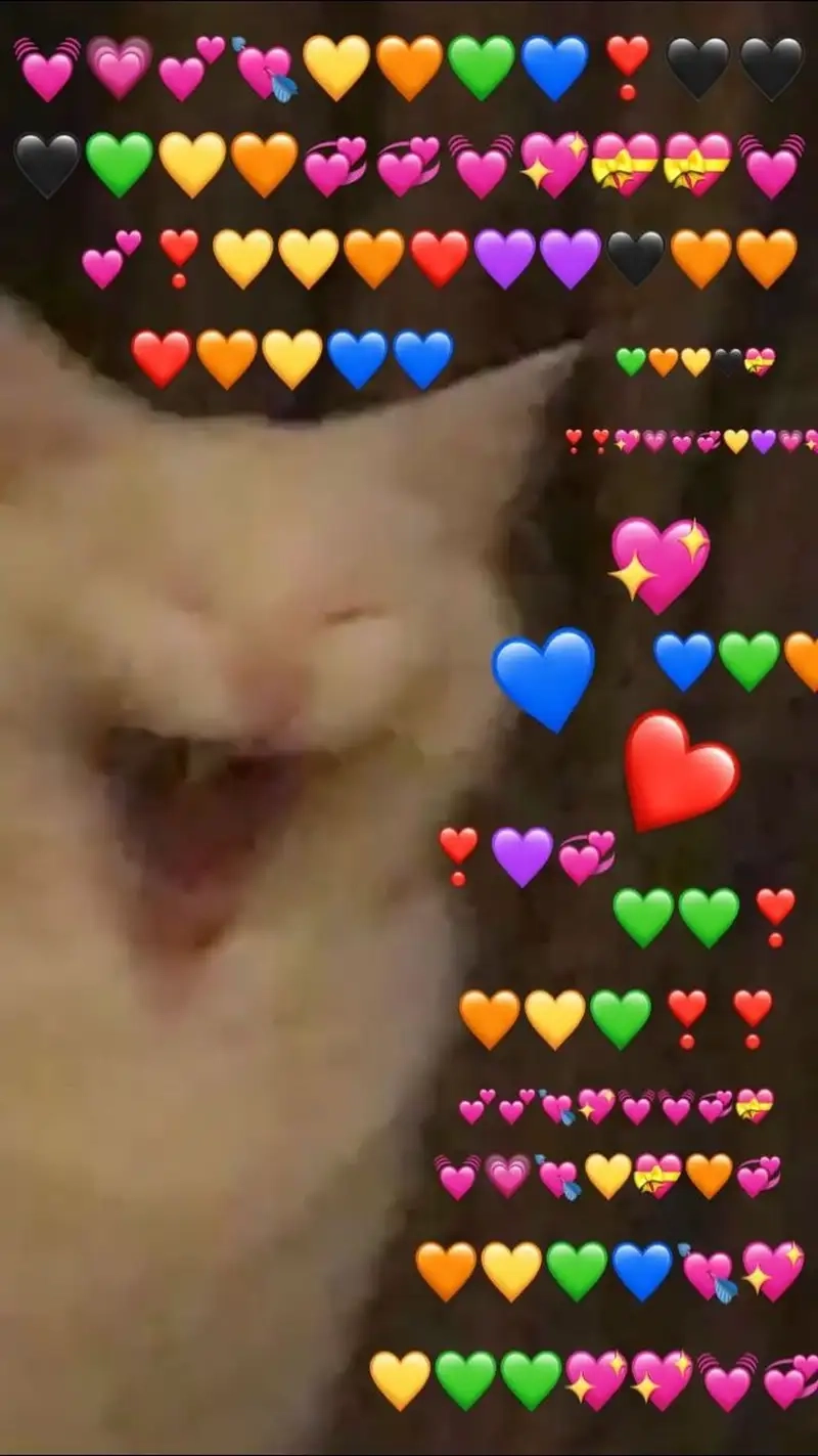 Meme tặng tim luôn thu hút sự chú ý với sự dễ thương