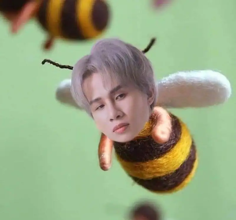 Cười ảnh chế meme mèo bựa luôn mang đến tiếng cười sảng khoái