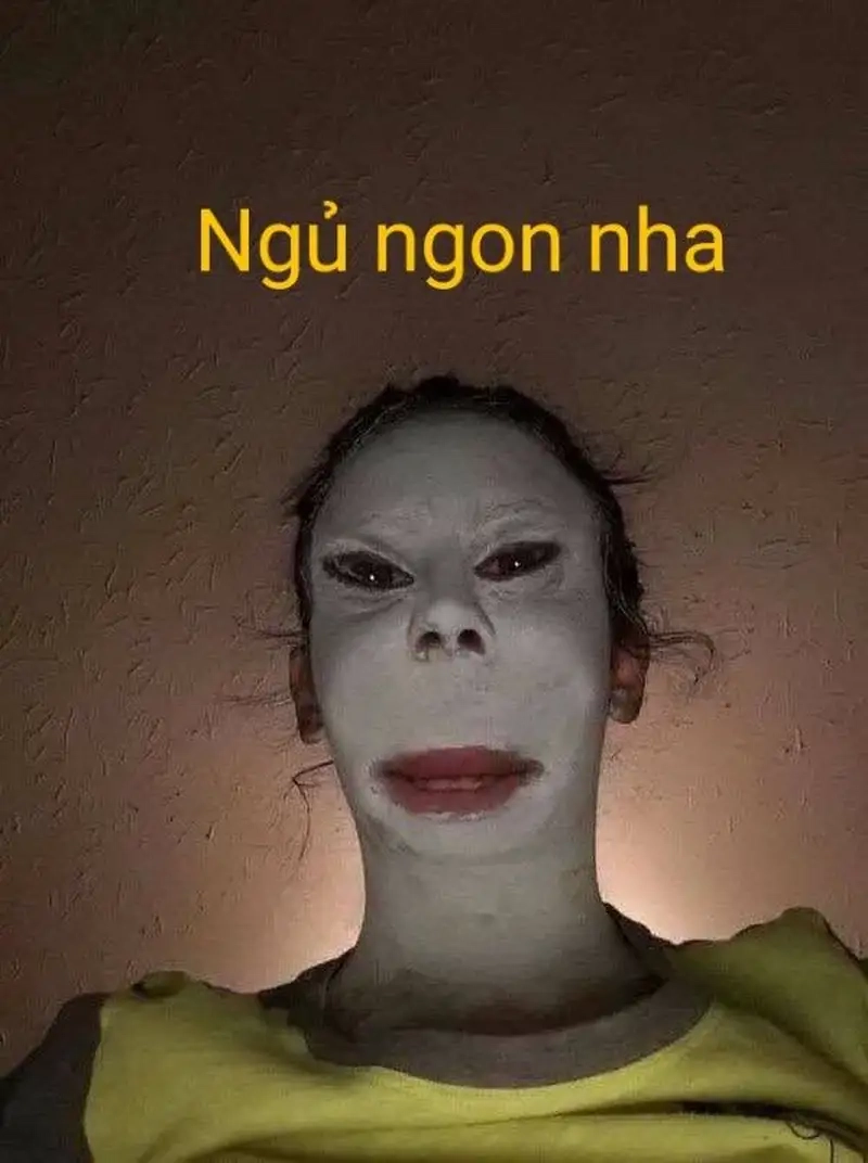 Cười meme mèo bựa tạo nên sự vui vẻ và hài hước