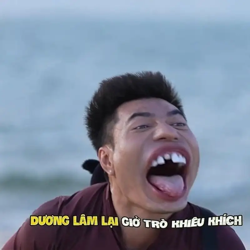 Ảnh mèo meme bựa luôn gây ấn tượng với sự hài hước