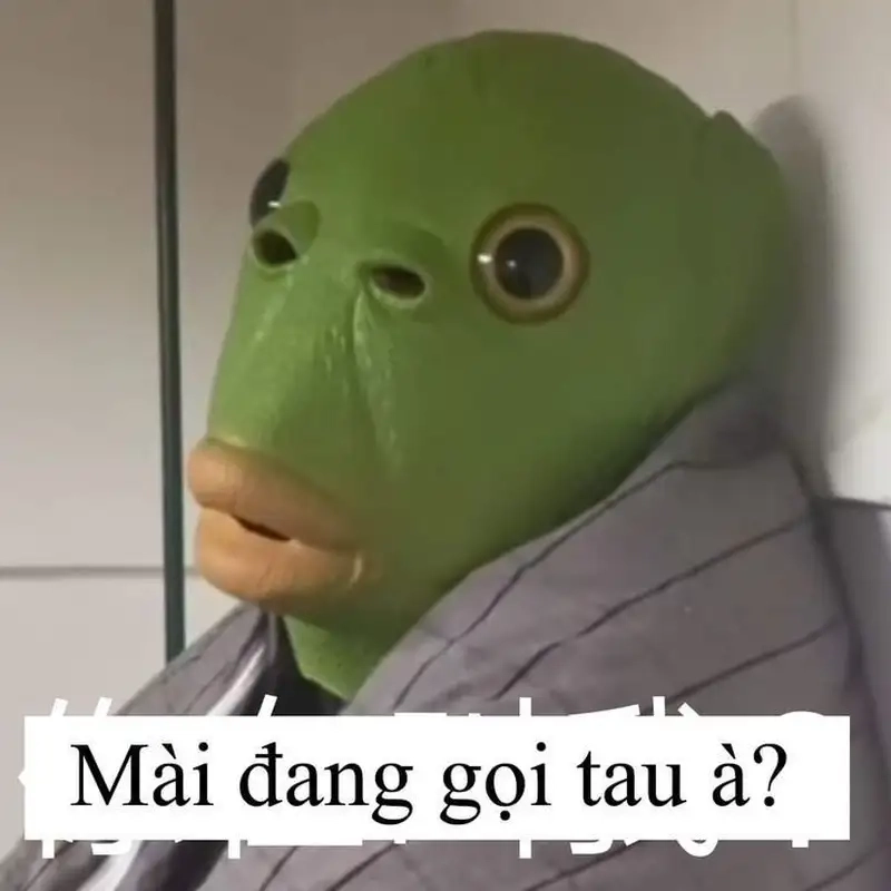 Meme mèo khóc bựa luôn làm tan chảy trái tim người xem