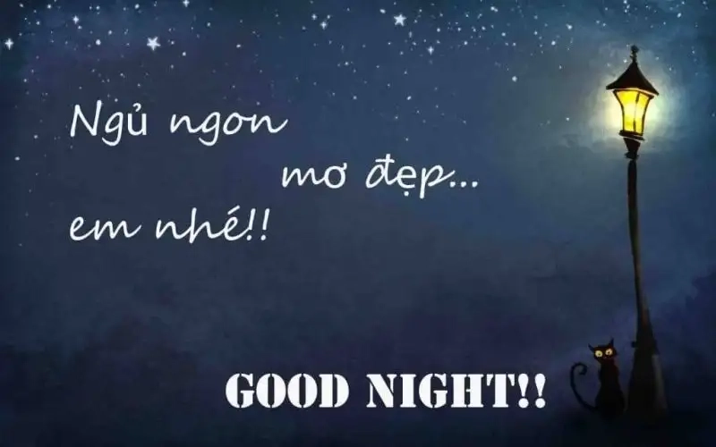 Meme ngủ cute tạo nên sự vui vẻ và hài hước