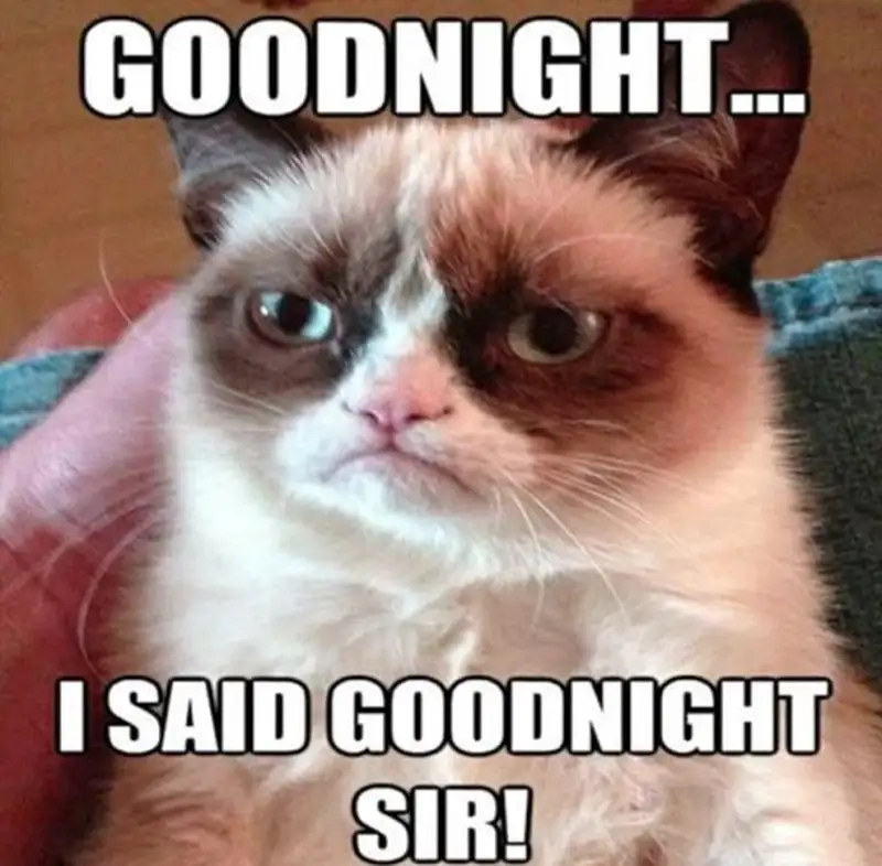 Ngủ ngon meme cute luôn làm tan chảy trái tim người xem