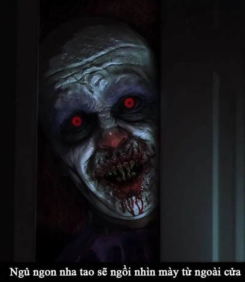 Meme buồn ngủ cute luôn thu hút sự chú ý