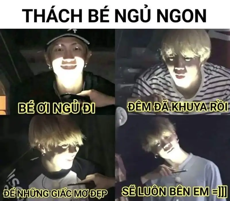 Mèo meme ngủ luôn gây ấn tượng với sự hài hước