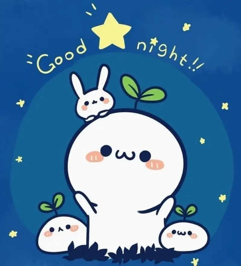 Ngủ ngon meme mèo tạo nên những khoảnh khắc vui vẻ