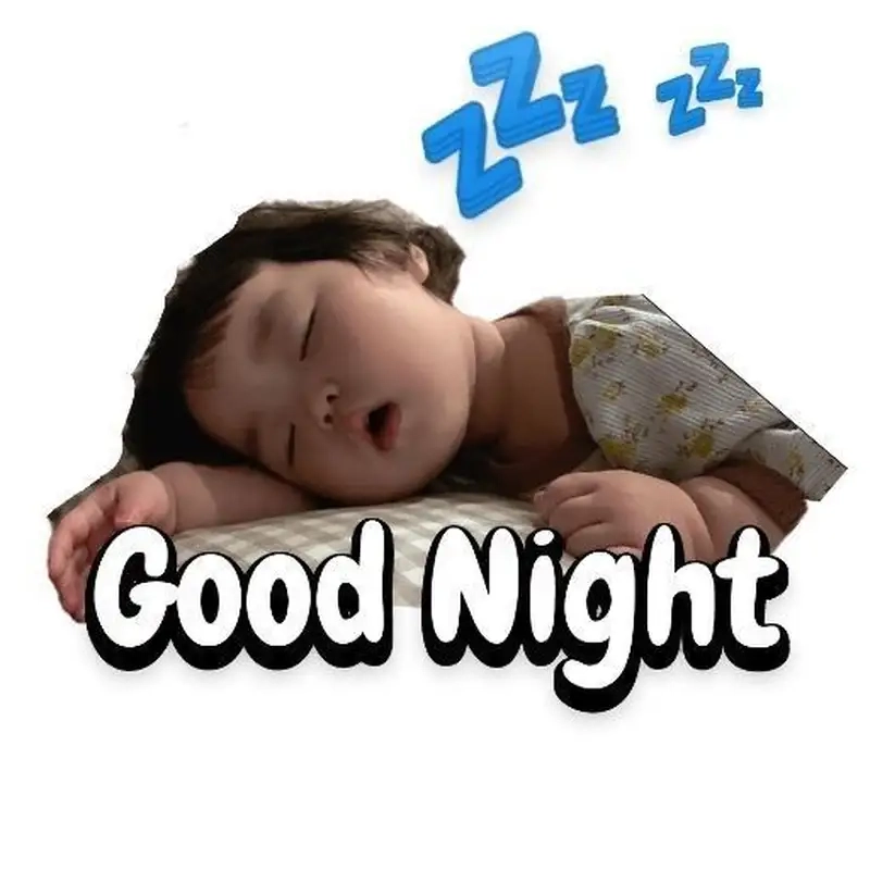 Mèo ngủ ngon meme luôn làm tan chảy trái tim người xem