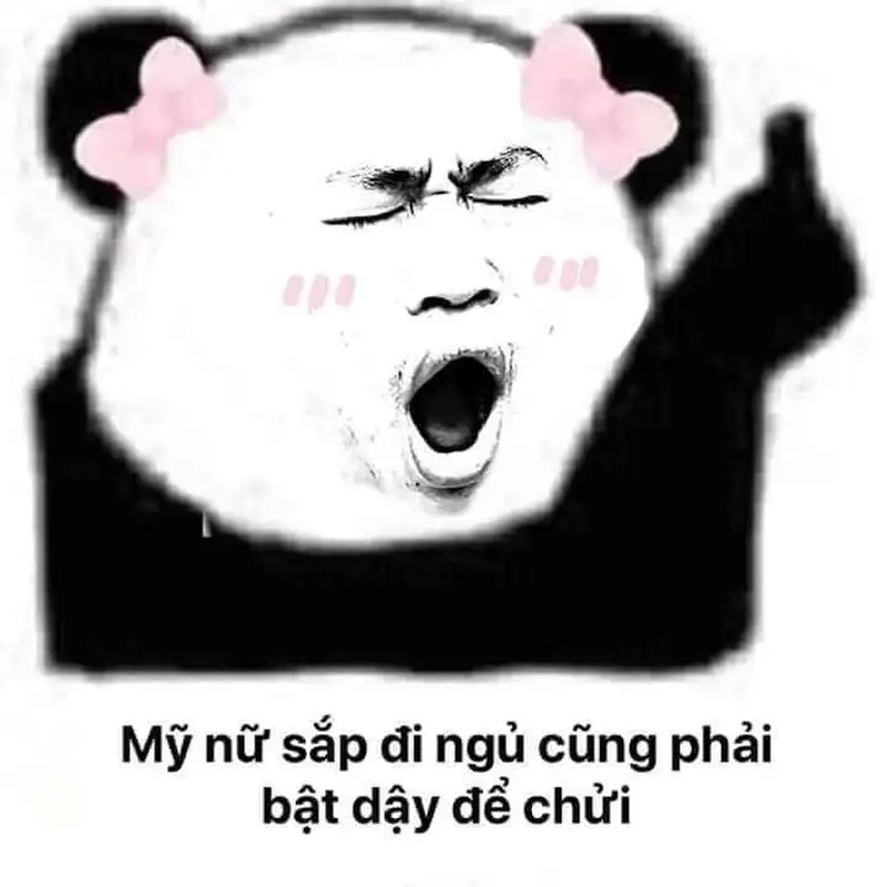 Good night meme mèo chúc ngủ ngon tạo nên sự gần gũi